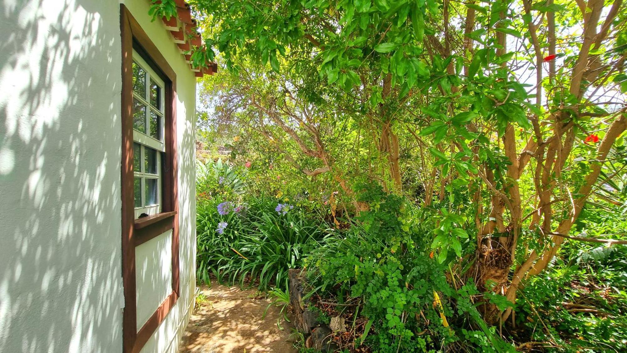 El Jocamo Villa Puntagorda Eksteriør billede