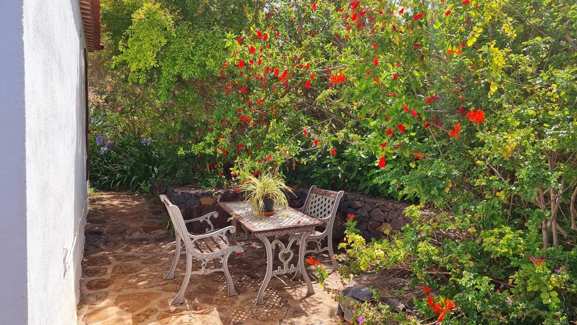 El Jocamo Villa Puntagorda Eksteriør billede